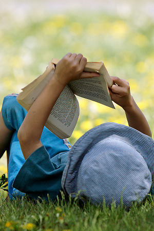 Boy reading in the grass - Copyright flickr.com/photos/norby/